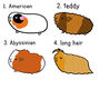 Personalised Guinea Pig Christmas Decoration, thumbnail 2 of 3