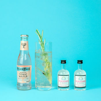 Make Your Own Gin And Tonic Set With Masons Gin, 3 of 6