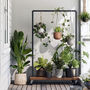 Contemporary Industrial Planter Trolley Rail, thumbnail 1 of 10