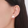 Sterling Silver Tiny Pumpkin Stud Earrings, thumbnail 2 of 12