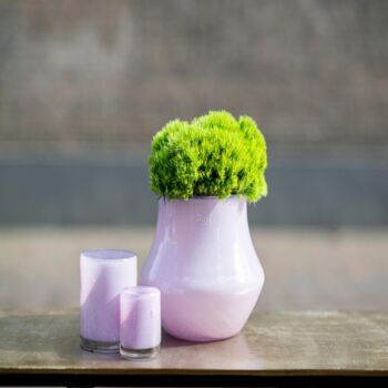 Glass Orchid Pot Marco Lilac Colour By Dut Z, 2 of 3