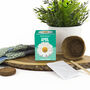 Grow Your Own Birth Flower Choose Your Month, thumbnail 9 of 12