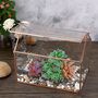 Rose Gold Glass Geometric Plant Terrarium With Lid, thumbnail 3 of 7