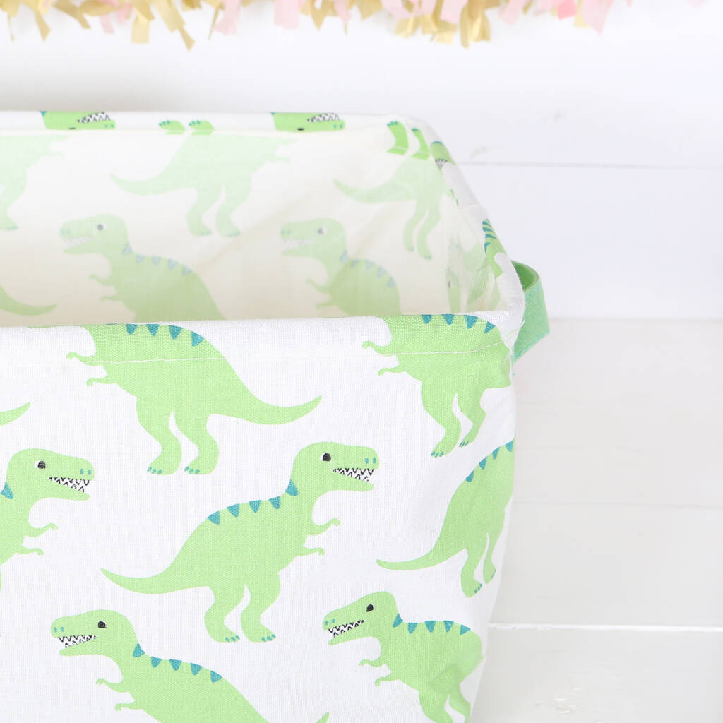 dinosaur bike basket