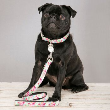 Clifton Multi Rainbow Floral Collar And Lead, 3 of 3