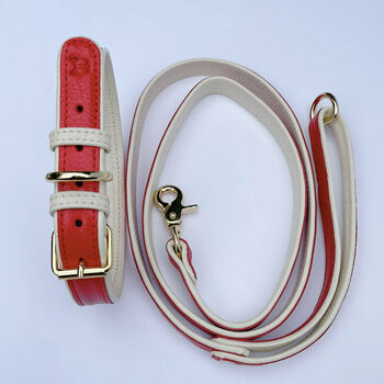 Handmade Italian Leather Dog Puppy Lead In Red, 5 of 6