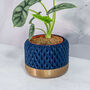 Midnight Ananas Planter, thumbnail 2 of 4