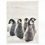 Baby Penguins In The Snow Printed Supersoft Throw With Faux Fur Backing 41021035, thumbnail 1 of 4