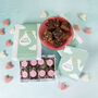 'A Special Delivery' Vegan Luxury Brownie Gift, thumbnail 1 of 2