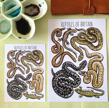 Reptiles Of Britain Watercolour Postcard, 2 of 10