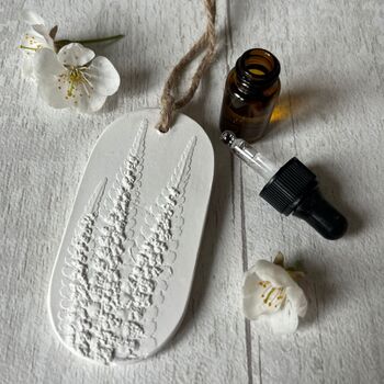 Fern Car Air Freshener Botanical Hanging Diffuser, 3 of 4