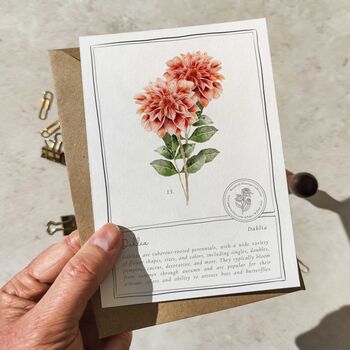 Botanical Garden Flowers Postcards Gift Set, 10 of 10