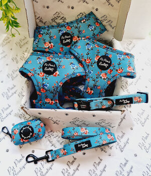 Rosie Rose Cornflower Blue Floral Dog Harness, 9 of 10