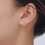 Sterling Silver Tiny Scarab Beetle Stud Earrings, thumbnail 6 of 12