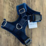 Made To Measure Velour Custom Dog Harnesses, thumbnail 2 of 7