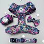 Candy Floral Adjustable Padded Dog Harness, thumbnail 1 of 10