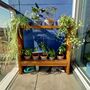 Plant Pot Display Stand, thumbnail 1 of 8