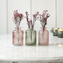 Little Lined Coloured Glass Bottle Vase Collection, thumbnail 3 of 7