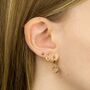 Pink Chalcedony Hoop Earrings In Gold Plated Silver, thumbnail 5 of 10