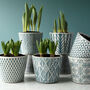 Teal Patterned Plant Pot, thumbnail 1 of 2
