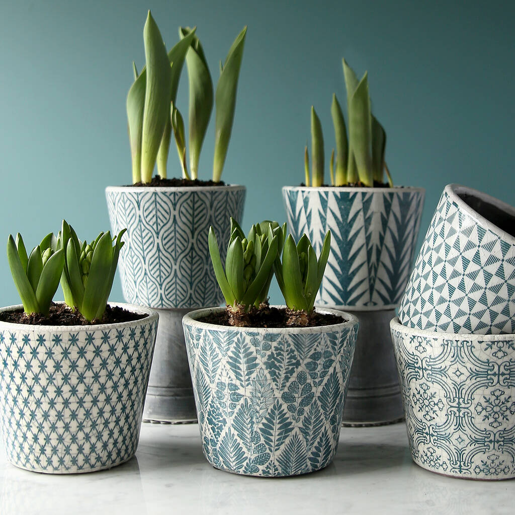  Teal  Patterned Plant  Pot  By Clem Co notonthehighstreet com