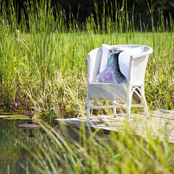 Inky Pigeon Outdoor Cushion For Garden Furniture, 5 of 9