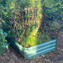 Sage Green Veggie And Herb Raised Bed With Liner, thumbnail 2 of 7