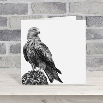 Red Kite Wildlife Greeting Card, 3 of 6