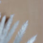 Ivory White Feather Pampas Grass Short Stem, thumbnail 3 of 3