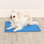 Blue Cooling Mat For Dogs, thumbnail 1 of 7