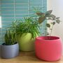 3D Printed Vibrant Plant Pot – Lightweight And Strong, thumbnail 2 of 7