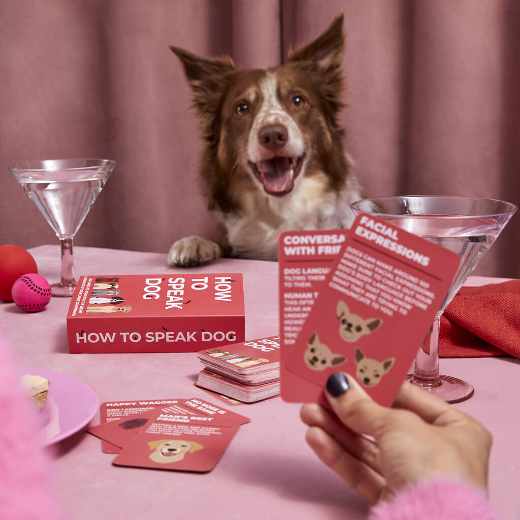 100 How To Speak Dog Cards, 1 of 3