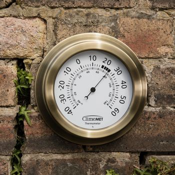 Customisable Metallic Garden Thermometer, 3 of 9