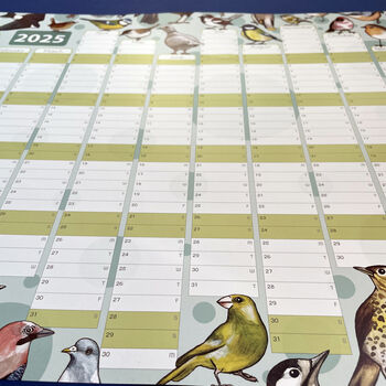 2025 Garden Birds Wall Calendar And Year Planner, 9 of 9