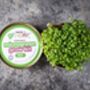 Organic Microgreen Single Tin Growing Kit | Rocket, thumbnail 2 of 4