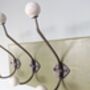 Farrow And Ball Painted Coat Rack With Ball Top Hooks, thumbnail 4 of 8