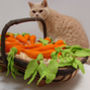 Catnip Toys, Carrots Cat Toys Pack Of One, thumbnail 2 of 3