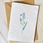 Plantable Wildflower Seed Sympathy, Thinking Of You Card A5 Size, thumbnail 1 of 4