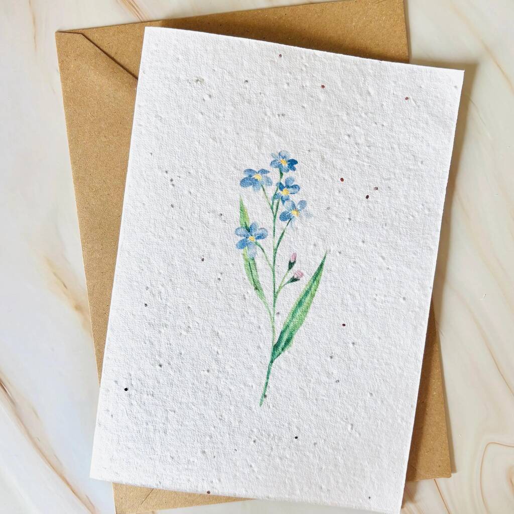 Plantable Wildflower Seed Sympathy, Thinking Of You Card A5 Size, 1 of 4