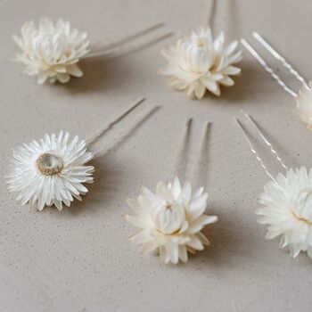 Pippa Dried Straw Flower Wedding Bridal Hair Pins, 3 of 6