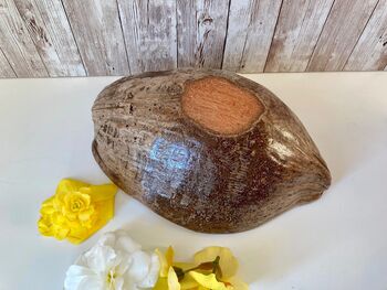 Coconut Shell Bowl With Pearlised Lining Natural Bowl, 3 of 10