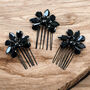 Black Crystal Hair Comb Set, thumbnail 1 of 3