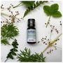 Get Well Stay Well Pure Essential Oil Blend, thumbnail 1 of 2