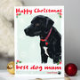Personalised 'Rosie' Dog Christmas Card, thumbnail 1 of 7
