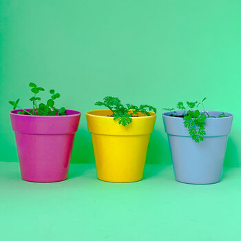 Wildflower Jar Stocking Fillers Set Of Six Flowers, 11 of 11