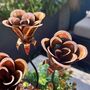 Set Of Three Mini Copper Rose Garden Planter Stakes, thumbnail 3 of 9