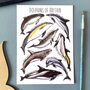 Dolphins Of Britain Watercolour Postcard, thumbnail 1 of 12