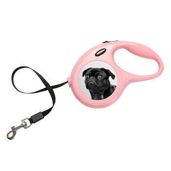 Personalised Photo Dog Lead, 9 of 11