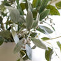 Faux Eucalyptus And Grey Berry Arrangement, thumbnail 2 of 3