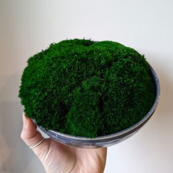 Preserved Moss In A Large Ceramic Handmade Bowl, 5 of 8